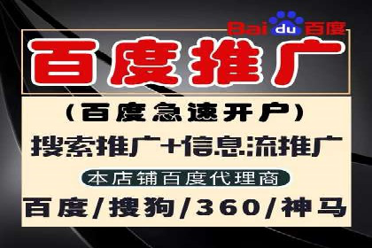 成功SEM托管案例：流量与转化双赢